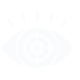 vision